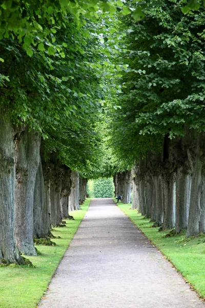 Frederiksborg slot — Foto Stock