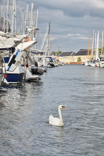 Copenhagen — Stock Photo, Image