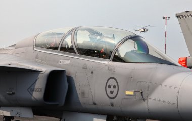 Grippen