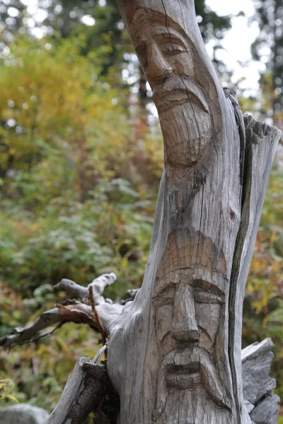 Baum mit Gesicht — Stockfoto