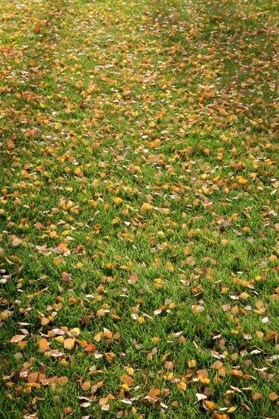 Parque de outono em Zvolen, Eslováquia — Fotografia de Stock