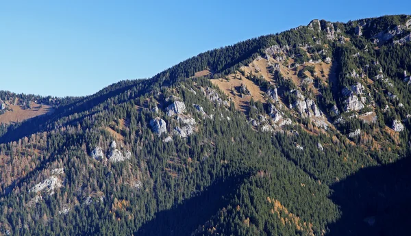 Uitzicht vanaf chopok — Stockfoto