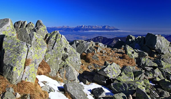 Blick vom Chopok — Stockfoto