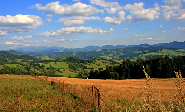 Nature in Orava — Stock Photo, Image