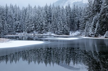 Vrbicke pleso