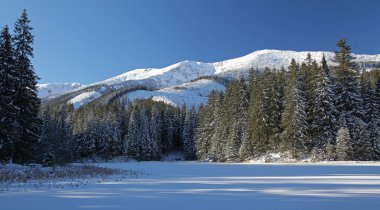 Vrbicke pleso
