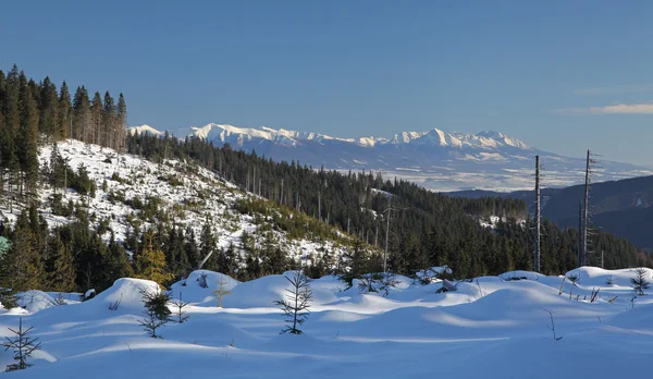 높은 Tatras Velka Fatra에서 — 스톡 사진