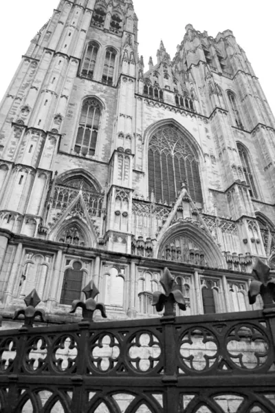 Sint-Michiel en Sint-Goedele kathedraal in brussel — Stockfoto