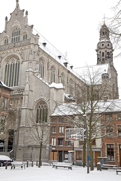 Antwerp architecture — Stock Photo, Image