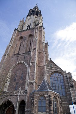 Delft mimarisi