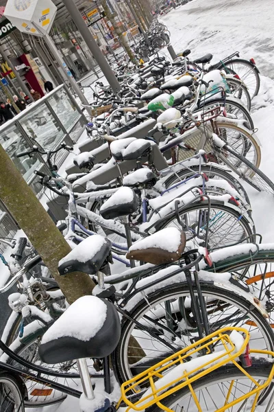 Snowy rowery w Antwerpii — Zdjęcie stockowe