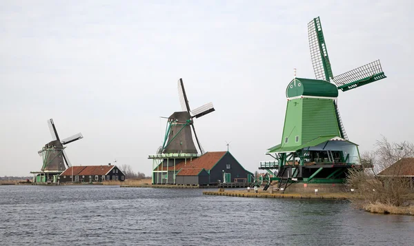 Windmills in Zaanse Schans museum — Stock Photo, Image