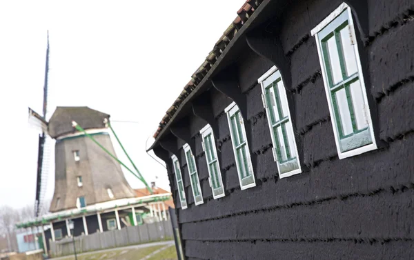 Moinhos de vento no museu Zaanse Schans — Fotografia de Stock