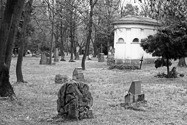 Ondrejsky 墓地、ブラチスラヴァ — ストック写真