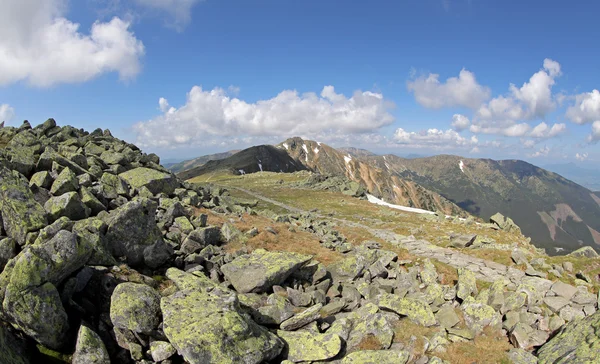 Visa från hill chopok, Slovakien — Stockfoto