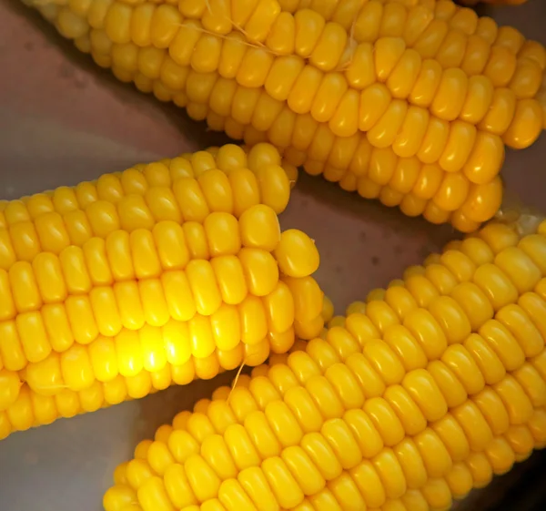 Cooked corn — Stock Photo, Image