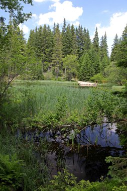 vrbicke pleso - tarn düşük tatras Dağları