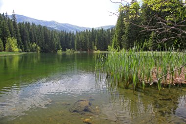 vrbicke pleso - tarn düşük tatras Dağları