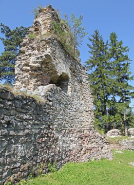 likavsky hrad - yıkık kalede Slovakya
