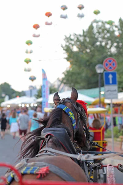 Uitzicht vanaf paard wagen — Stockfoto