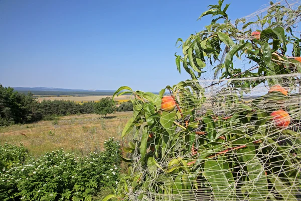 Bulgaria — Stock Photo, Image