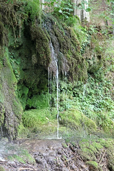 Cascada en el parque natural Strandja, Bulgaria — Foto de Stock