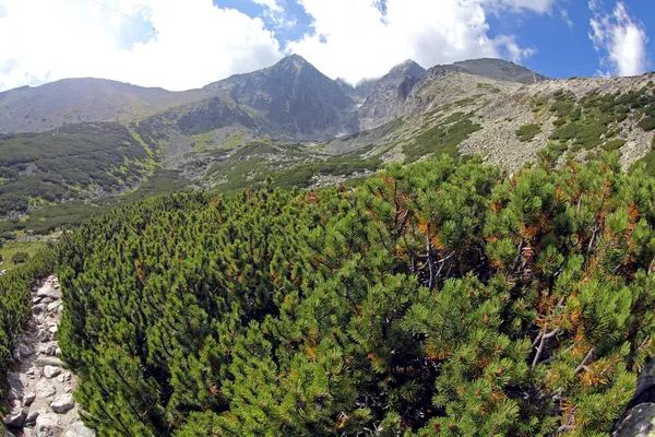 Lomnickým štítem - vrchol ve Vysokých Tatrách, Slovensko — Stock fotografie