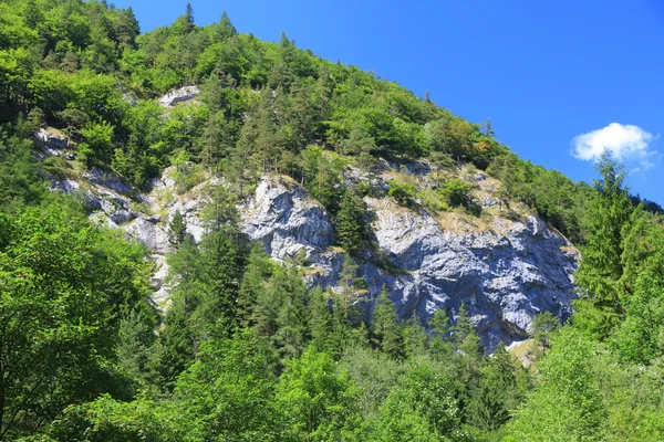 Kvacianska dolina - vallei in de regio liptov, Slowakije — Stockfoto
