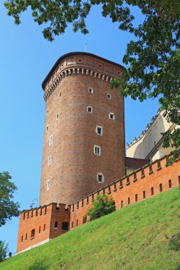 Wawel royal castle civarındaki Krakov, Polonya