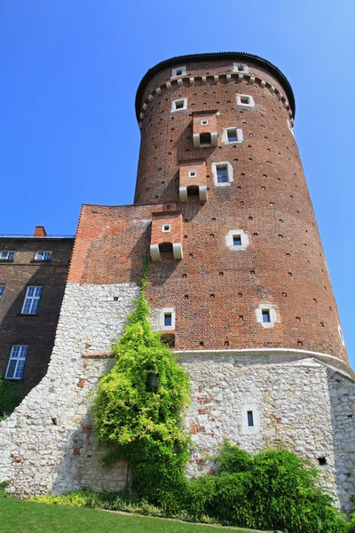 Královský hrad Wawel v Krakově, Polsko — Stock fotografie