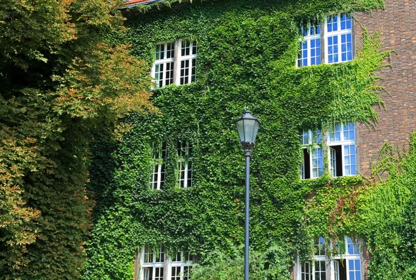 Het Koninklijke kasteel Wawel in Krakau, Polen — Stockfoto