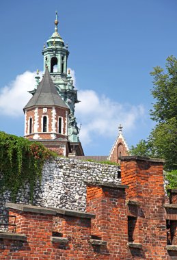 Wawel royal castle civarındaki Krakov, Polonya