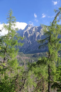 Mala studena dolina - vadide yüksek tatras, Slovakya