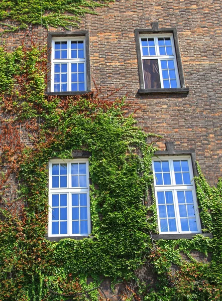 Königsschloss Wawel in Krakau, Polen — Stockfoto