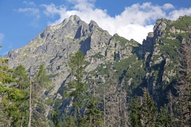 Mala studena dolina - vadide yüksek tatras, Slovakya