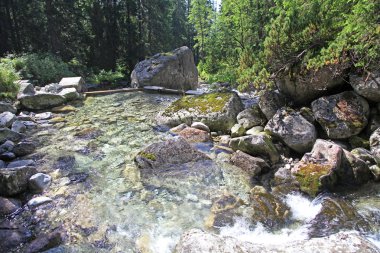 Mala studena dolina - vadide yüksek tatras, Slovakya
