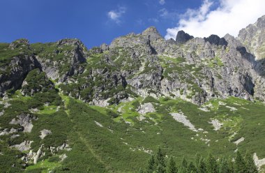 Mala studena dolina - vadide yüksek tatras, Slovakya