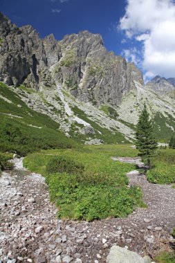 Mala studena dolina - vadide yüksek tatras, Slovakya