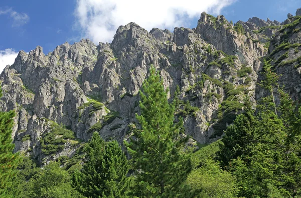 Mala Studenej dolina - dolina w Wysokie Tatry, Słowacja — Zdjęcie stockowe