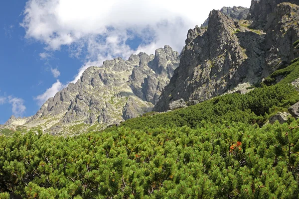 Mala studena dolina - údolí ve Vysokých Tatrách, Slovensko — Stock fotografie