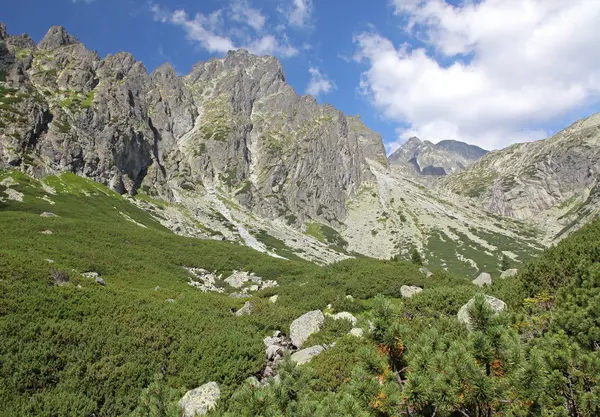 Mala studena dolina - vallei in hoge Tatra, Slowakije — Stockfoto