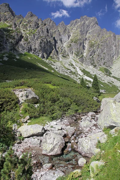 Mala studena dolina - völgy, a Magas-Tátra, Szlovákia — Stock Fotó