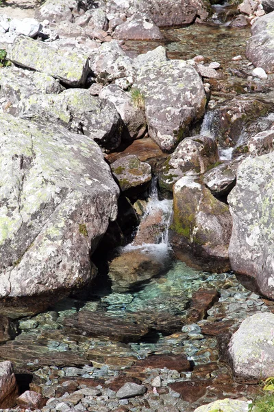 Mala studena dolina - völgy, a Magas-Tátra, Szlovákia — Stock Fotó