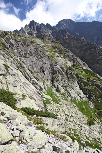 Mala studena dolina - valley in High Tatras, Slovakia — Stock Photo, Image