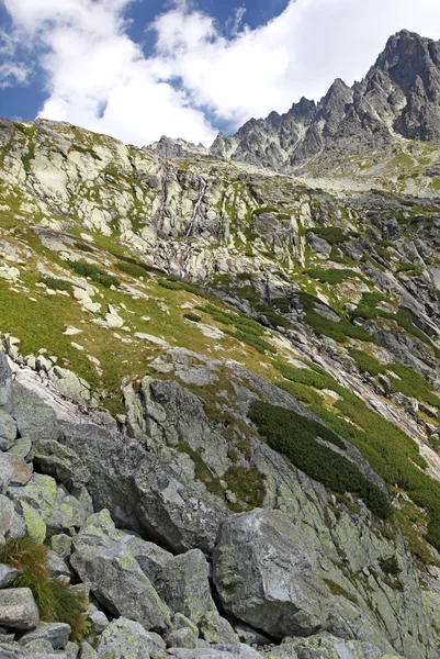 Mala studena dolina - Tal in der Hohen Tatra, Slowakei — Stockfoto