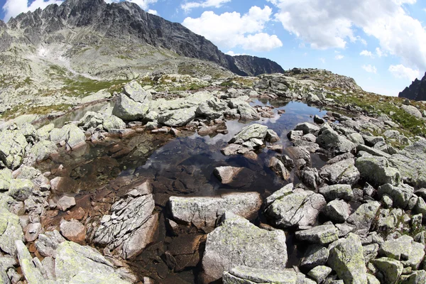 5 spisskych plies - Seen in der Hohen Tatra, Slowakei — Stockfoto