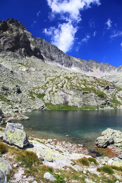 5 spisskych plies - tjärnar i Vysoké Tatry, Slovakien — Stockfoto