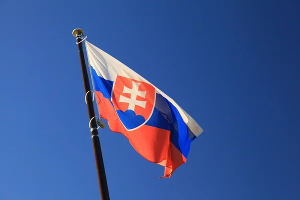 Słowacki-Flaga narodowa — Zdjęcie stockowe