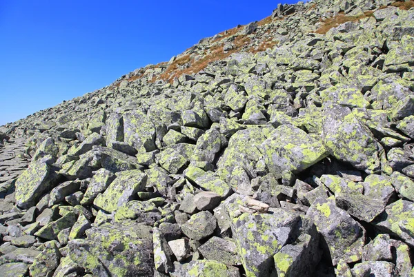 Vista de Derese - Low Tatras, Eslováquia — Fotografia de Stock