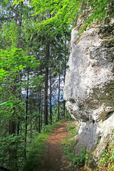 Natureza na região Liptov, Eslováquia — Fotografia de Stock